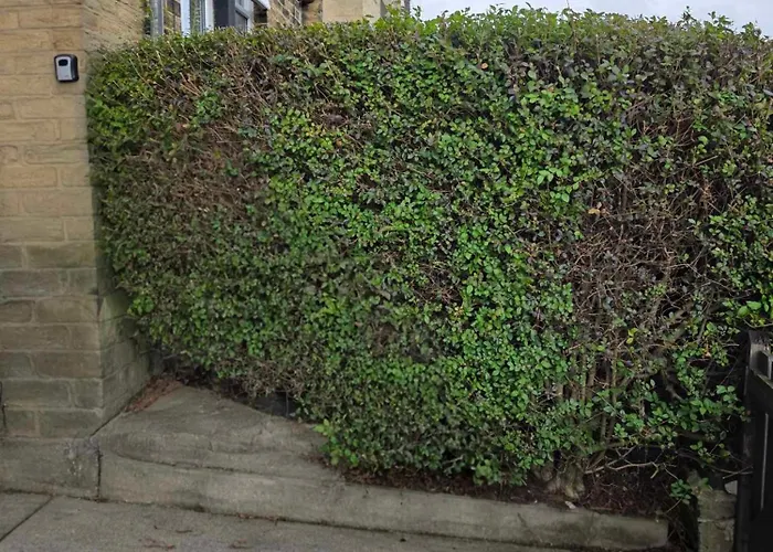 住宿加早餐酒店 Oge's House