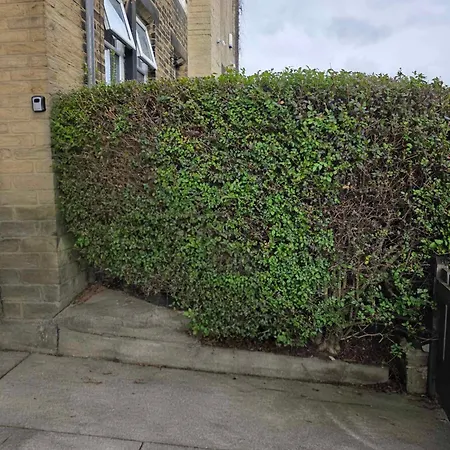 Bed & Breakfast Oge's House